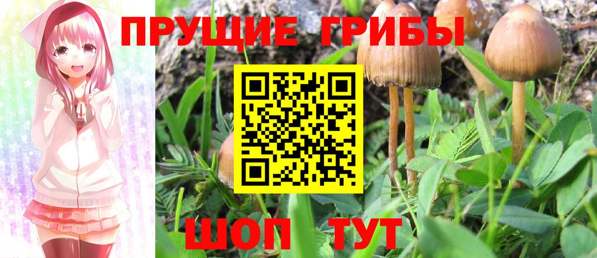Владикавказ  Псилоцибиновые грибы Magic Shrooms  Вход с VPN 