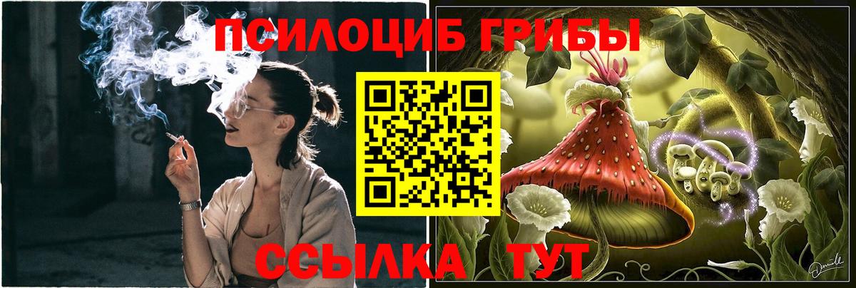 Галлюциногенные грибы MAGIC MUSHROOMS Владикавказ